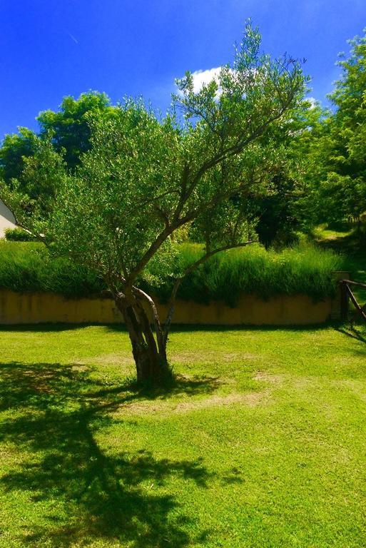 Agriturismo Acero Rosso Civitella di Romagna 外观 照片
